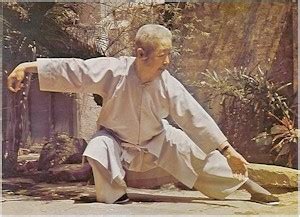 太極龍|國際神龍太極學會 (International Shen Long Taichi。